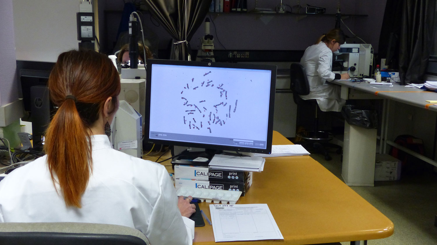 Service de cytogénétique